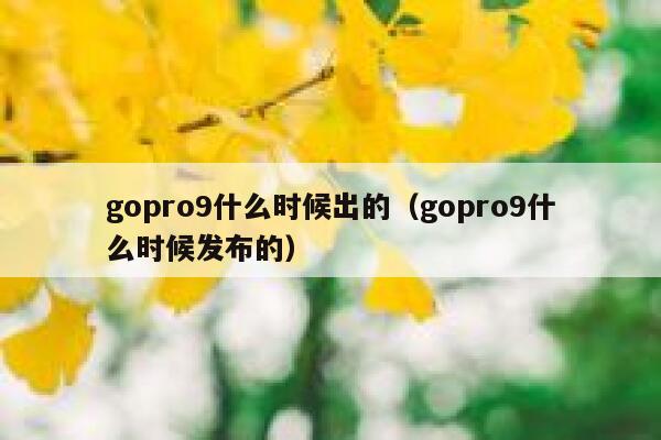 gopro9什么时候出的（gopro9什么时候发布的） 第1张