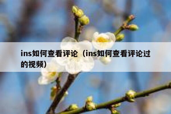 ins如何查看评论（ins如何查看评论过的视频） 第1张