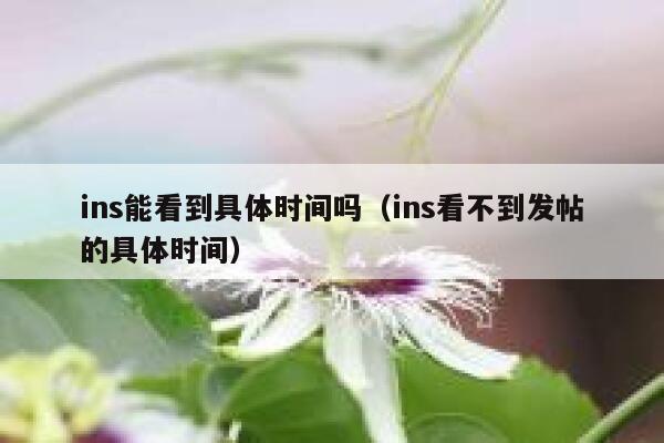 ins能看到具体时间吗（ins看不到发帖的具体时间） 第1张