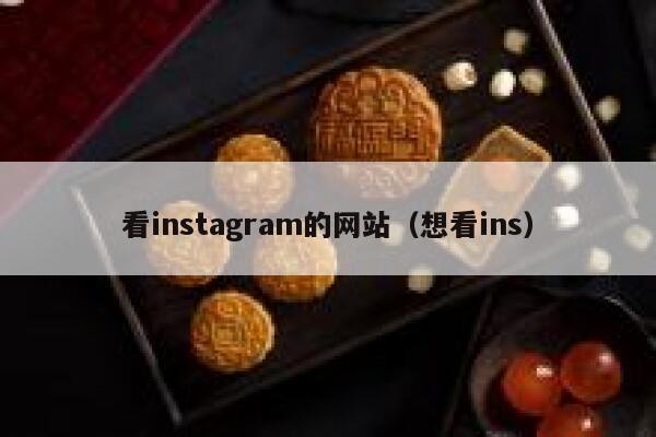 看instagram的网站（想看ins） 第1张