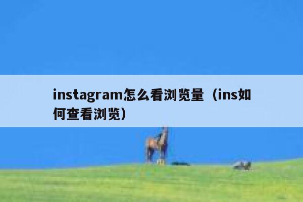 instagram怎么看浏览量(ins如何查看浏览) 第1张 instagram怎么看浏览量(ins如何查看浏览) 第1张