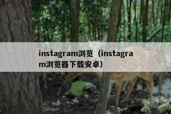 instagram浏览（instagram浏览器下载安卓） 第1张