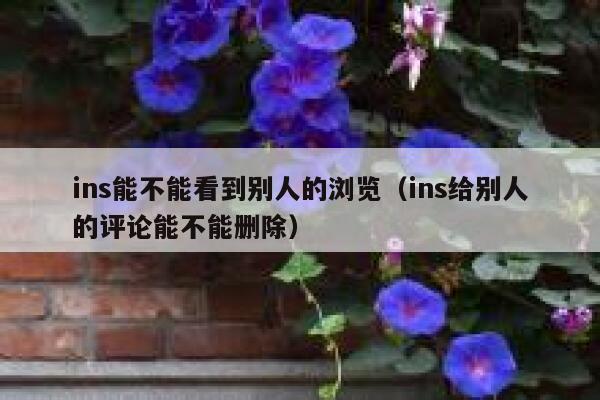ins能不能看到别人的浏览（ins给别人的评论能不能删除） 第1张