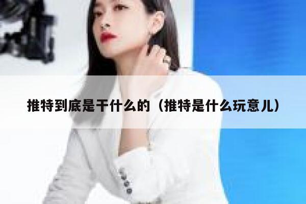 推特到底是干什么的（推特是什么玩意儿） 第1张