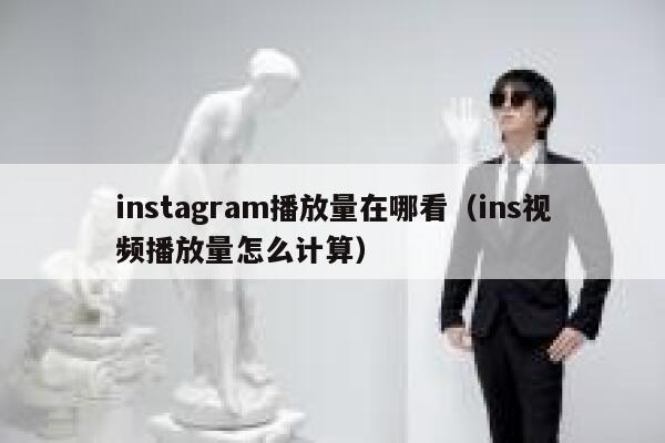 instagram播放量在哪看（ins视频播放量怎么计算） 第1张
