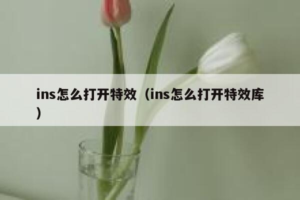 ins怎么打开特效（ins怎么打开特效库） 第1张