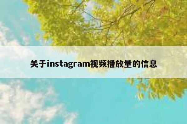 关于instagram视频播放量的信息 第1张