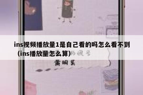 ins视频播放量1是自己看的吗怎么看不到(ins播放量怎么算) 第1张 ins视频播放量1是自己看的吗怎么看不到(ins播放量怎么算) 第1张