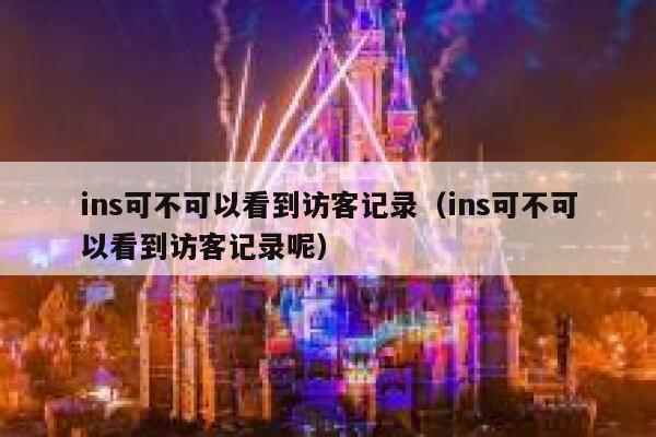 ins可不可以看到访客记录（ins可不可以看到访客记录呢） 第1张