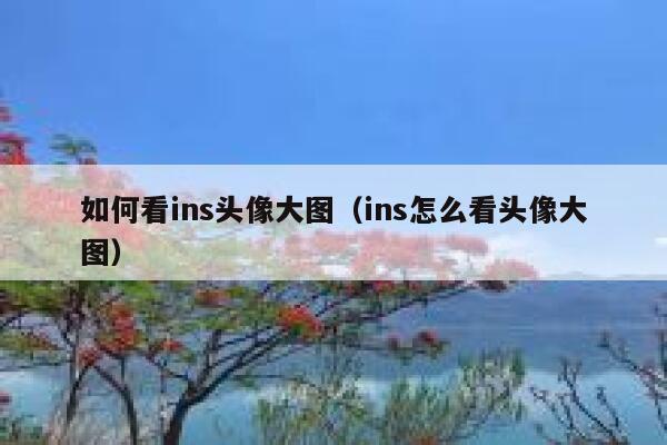 如何看ins头像大图(ins怎么看头像大图) 第1张 如何看ins头像大图(ins怎么看头像大图) 第1张