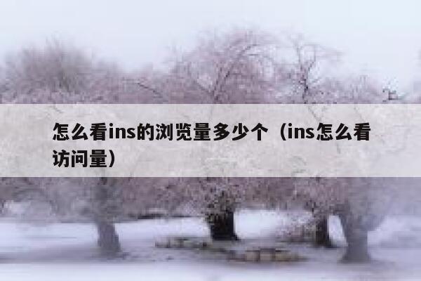 怎么看ins的浏览量多少个（ins怎么看访问量） 第1张