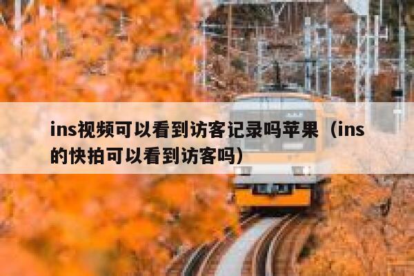 ins视频可以看到访客记录吗苹果(ins的快拍可以看到访客吗) 第1张 ins视频可以看到访客记录吗苹果(ins的快拍可以看到访客吗) 第1张