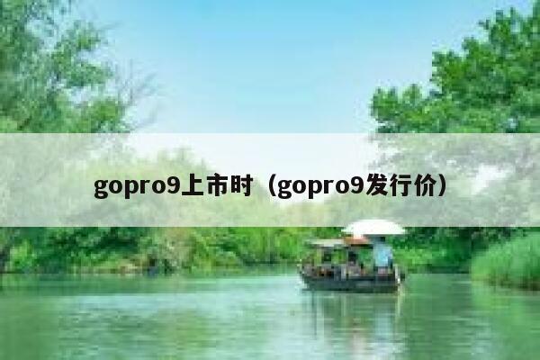gopro9上市时(gopro9发行价) 第1张 gopro9上市时(gopro9发行价) 第1张