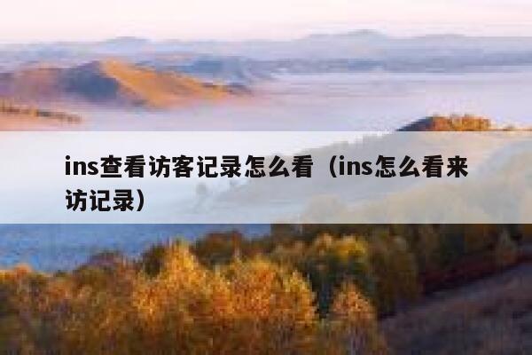 ins查看访客记录怎么看（ins怎么看来访记录） 第1张