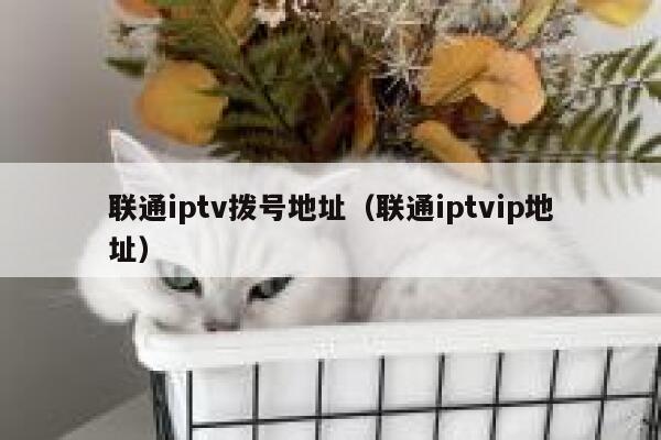 联通iptv拨号地址(联通iptvip地址) 第1张 联通iptv拨号地址(联通iptvip地址) 第1张