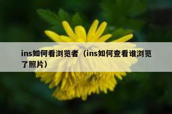 ins如何看浏览者（ins如何查看谁浏览了照片） 第1张