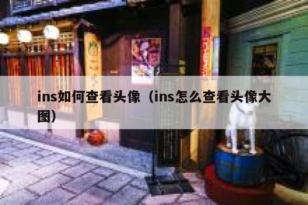 ins如何查看头像(ins怎么查看头像大图) 第1张 ins如何查看头像(ins怎么查看头像大图) 第1张