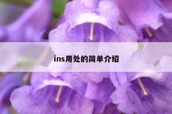 ins用处的简单介绍 第1张 ins用处的简单介绍 第1张