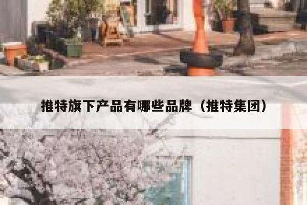 推特旗下产品有哪些品牌（推特集团） 第1张