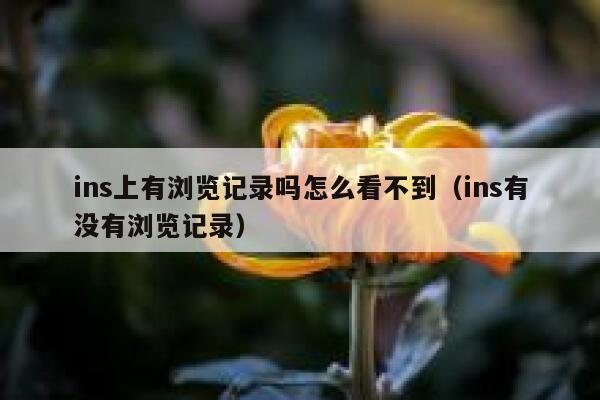 ins上有浏览记录吗怎么看不到（ins有没有浏览记录） 第1张