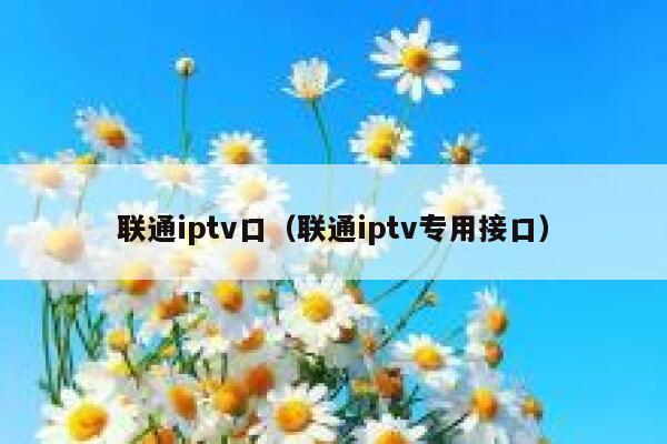 联通iptv口(联通iptv专用接口) 第1张 联通iptv口(联通iptv专用接口) 第1张