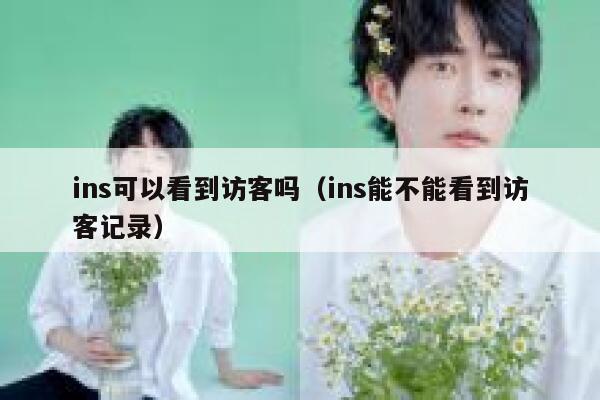 ins可以看到访客吗(ins能不能看到访客记录) 第1张 ins可以看到访客吗(ins能不能看到访客记录) 第1张
