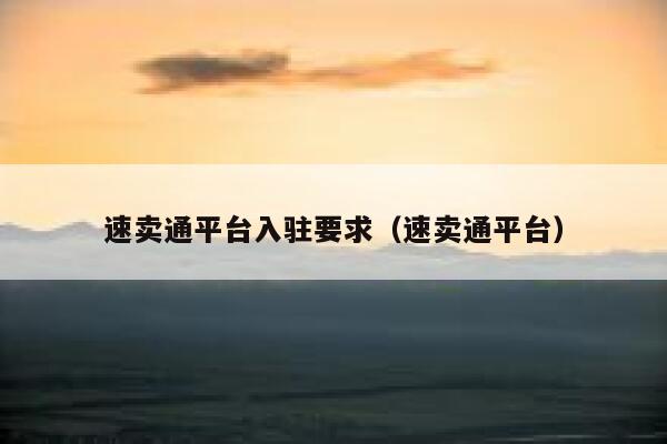 速卖通平台入驻要求（速卖通平台） 第1张