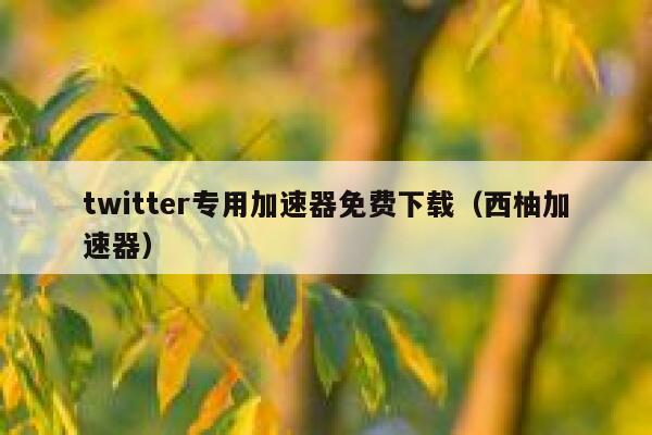 twitter专用加速器免费下载（西柚加速器） 第1张