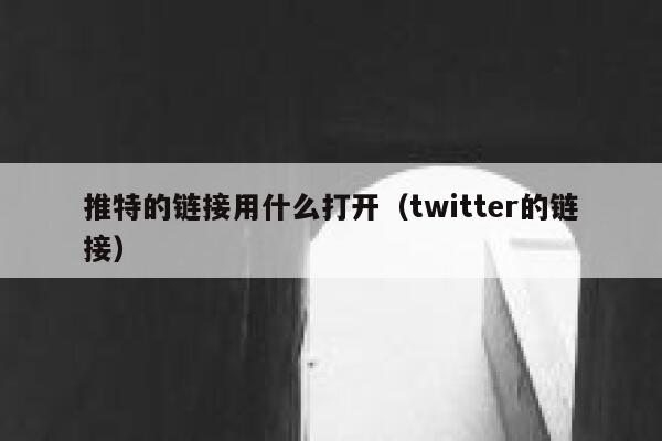 推特的链接用什么打开（twitter的链接） 第1张