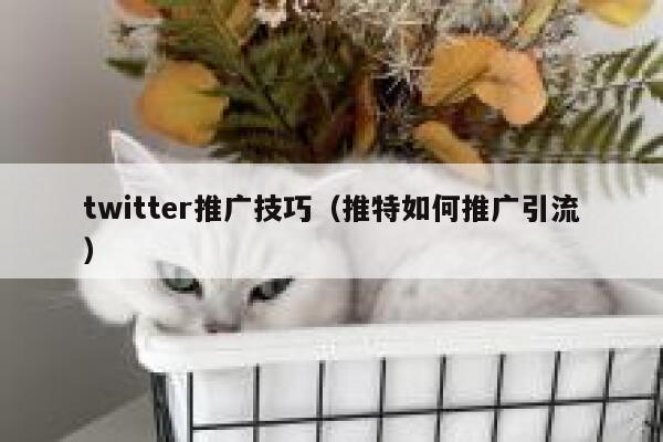 twitter推广技巧（推特如何推广引流） 第1张