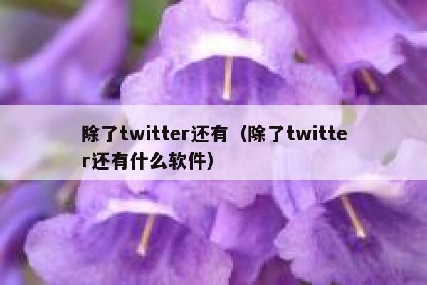 除了twitter还有（除了twitter还有什么软件） 第1张