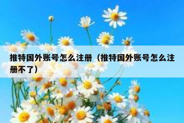 推特国外账号怎么注册（推特国外账号怎么注册不了） 第1张