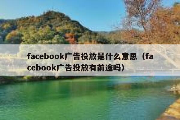 facebook广告投放是什么意思（facebook广告投放有前途吗） 第1张