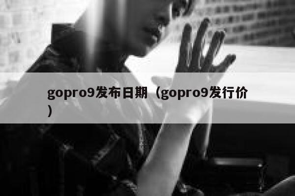 gopro9发布日期（gopro9发行价） 第1张