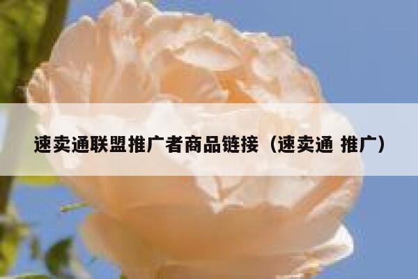 速卖通联盟推广者商品链接（速卖通 推广） 第1张