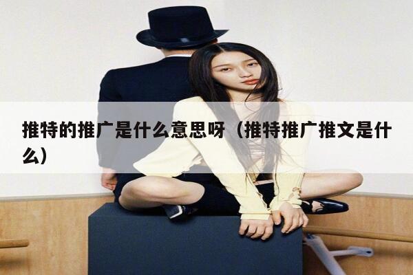 推特的推广是什么意思呀（推特推广推文是什么） 第1张