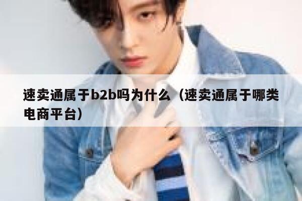 速卖通属于b2b吗为什么（速卖通属于哪类电商平台） 第1张