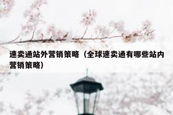速卖通站外营销策略（全球速卖通有哪些站内营销策略） 第1张