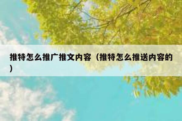 推特怎么推广推文内容（推特怎么推送内容的） 第1张
