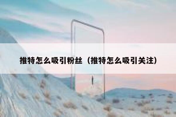 推特怎么吸引粉丝（推特怎么吸引关注） 第1张