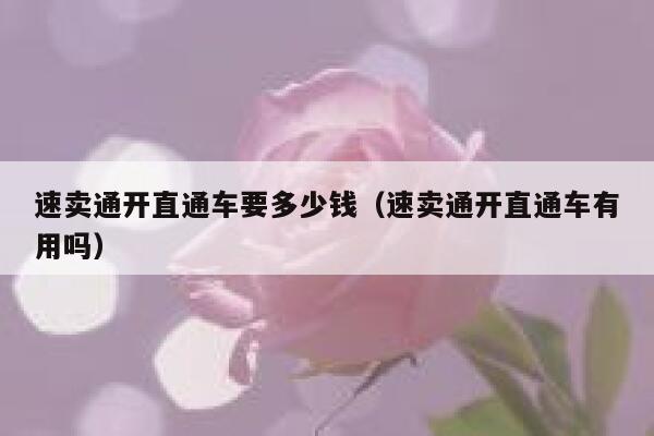 速卖通开直通车要多少钱(速卖通开直通车有用吗) 第1张 速卖通开直通车要多少钱(速卖通开直通车有用吗) 第1张