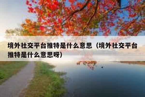 境外社交平台推特是什么意思（境外社交平台推特是什么意思呀） 第1张