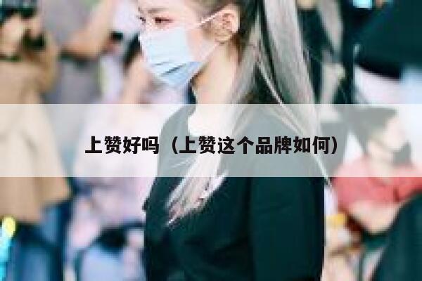 上赞好吗(上赞这个品牌如何) 第1张 上赞好吗(上赞这个品牌如何) 第1张