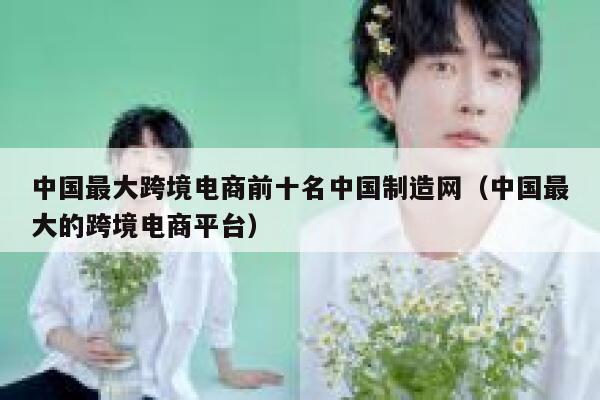中国最大跨境电商前十名中国制造网（中国最大的跨境电商平台） 第1张