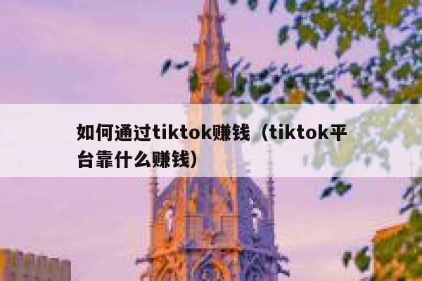 如何通过tiktok赚钱（tiktok平台靠什么赚钱） 第1张