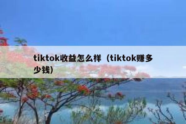 tiktok收益怎么样（tiktok赚多少钱） 第1张