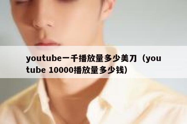 youtube一千播放量多少美刀（youtube 10000播放量多少钱） 第1张