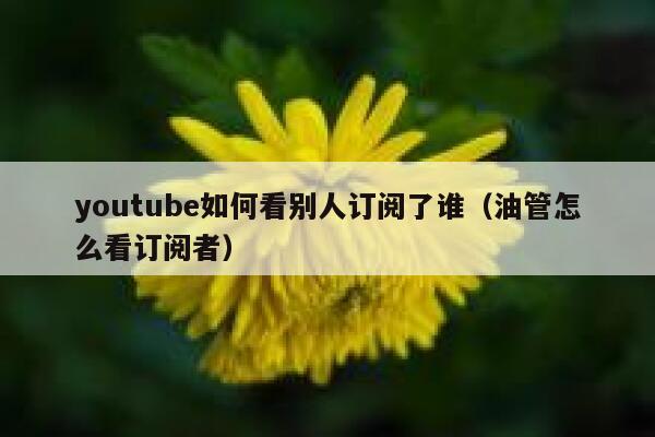 youtube如何看别人订阅了谁（油管怎么看订阅者） 第1张