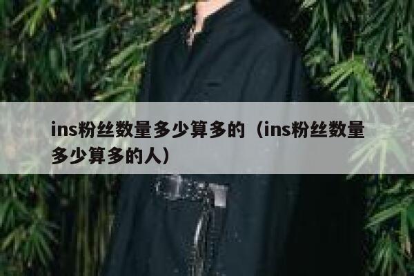 ins粉丝数量多少算多的（ins粉丝数量多少算多的人） 第1张