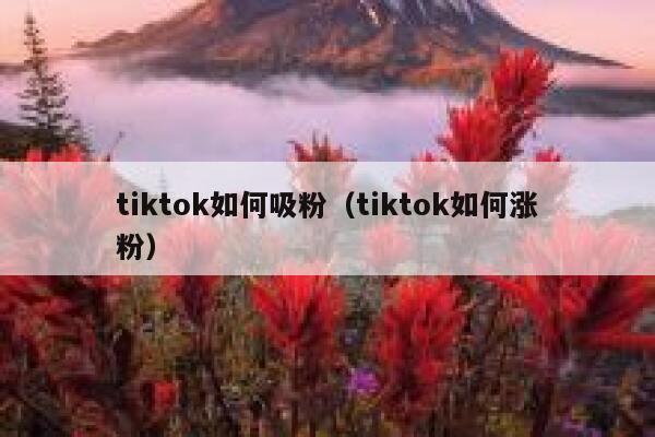 tiktok如何吸粉(tiktok如何涨粉) 第1张 tiktok如何吸粉(tiktok如何涨粉) 第1张